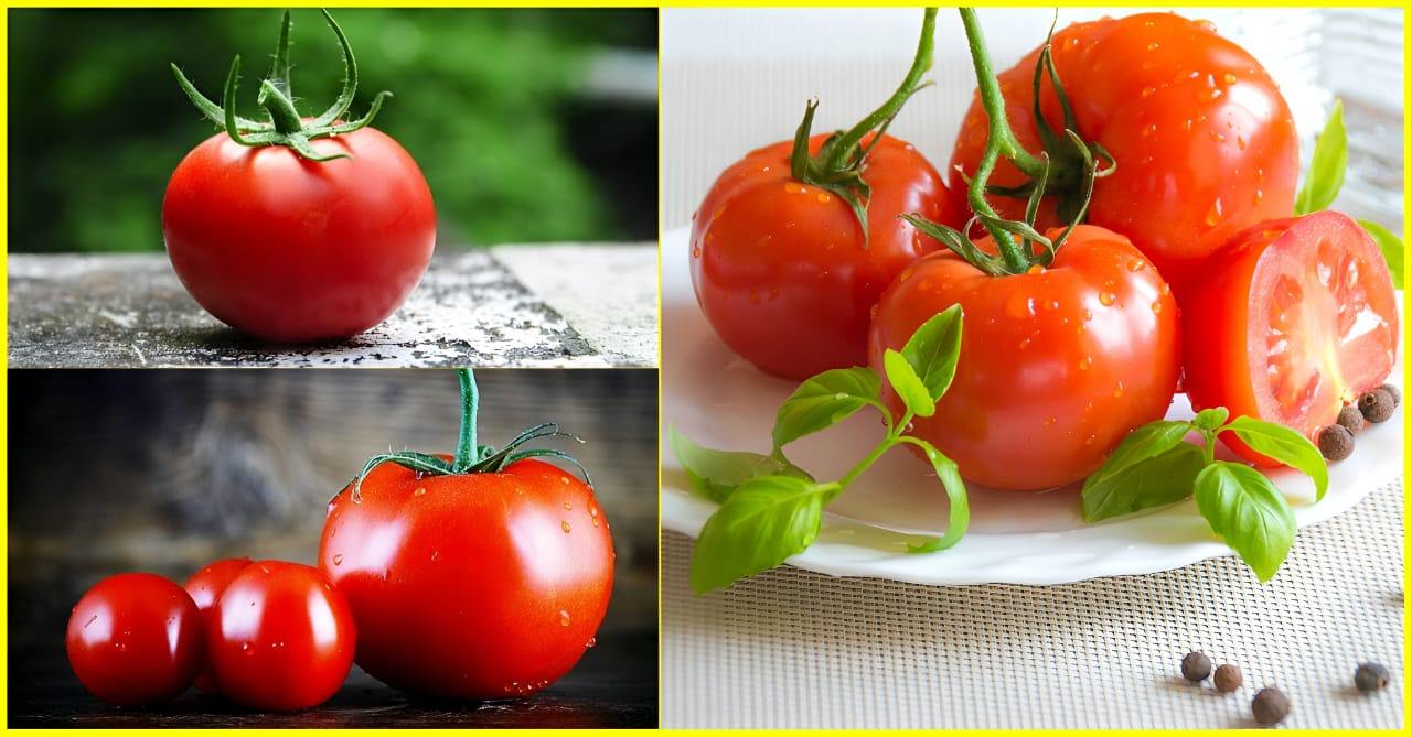 Tomato tips