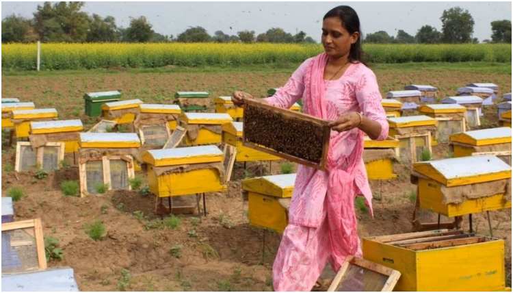 Best-earning organic honey cultivation business concept explained in Kannada.